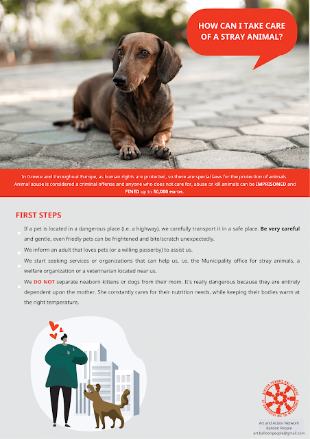 Animal protection awareness material for refugee populations - ACCMR | ACCMR